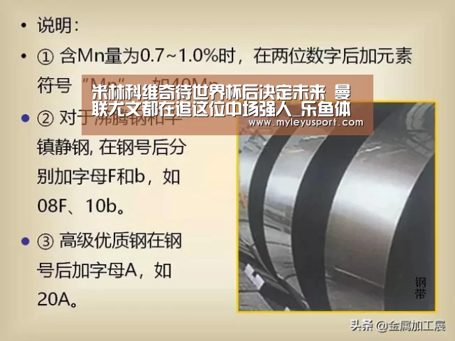 米林科维奇待世界杯后决定未来 曼联尤文都在追这位中场强人_乐鱼体育在线登录(图2) 乐鱼体育