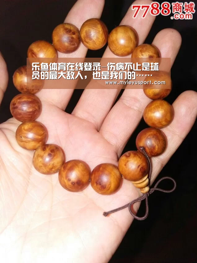 乐鱼官网