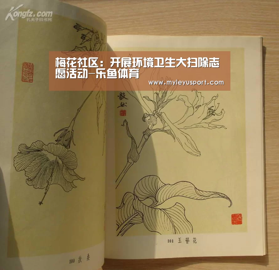 梅花社区:开展环境卫生大扫除志愿活动-乐鱼体育(图1) 乐鱼体育