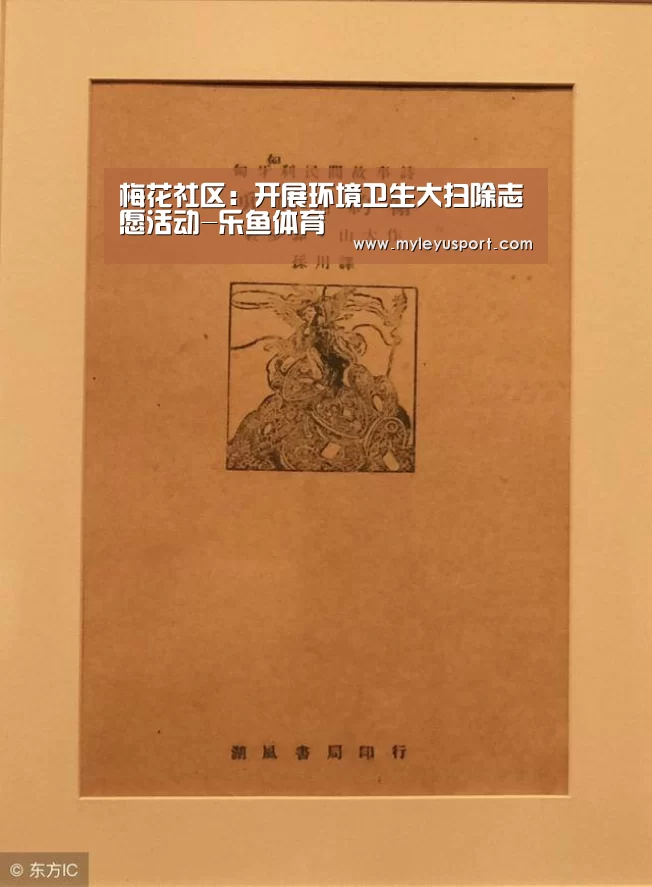 梅花社区:开展环境卫生大扫除志愿活动-乐鱼体育(图2) 乐鱼官网