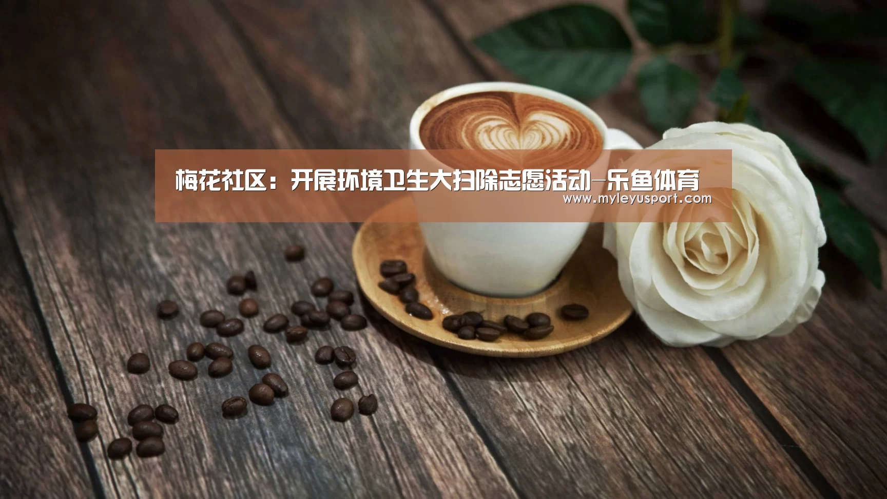 梅花社区:开展环境卫生大扫除志愿活动-乐鱼体育(图3) 乐鱼官网