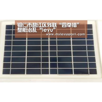 铜仁市碧江区残联“四举措”整脏治乱“leyu”(图3) 铜仁市碧江区残联“四举措”整脏治乱“leyu”(图3)